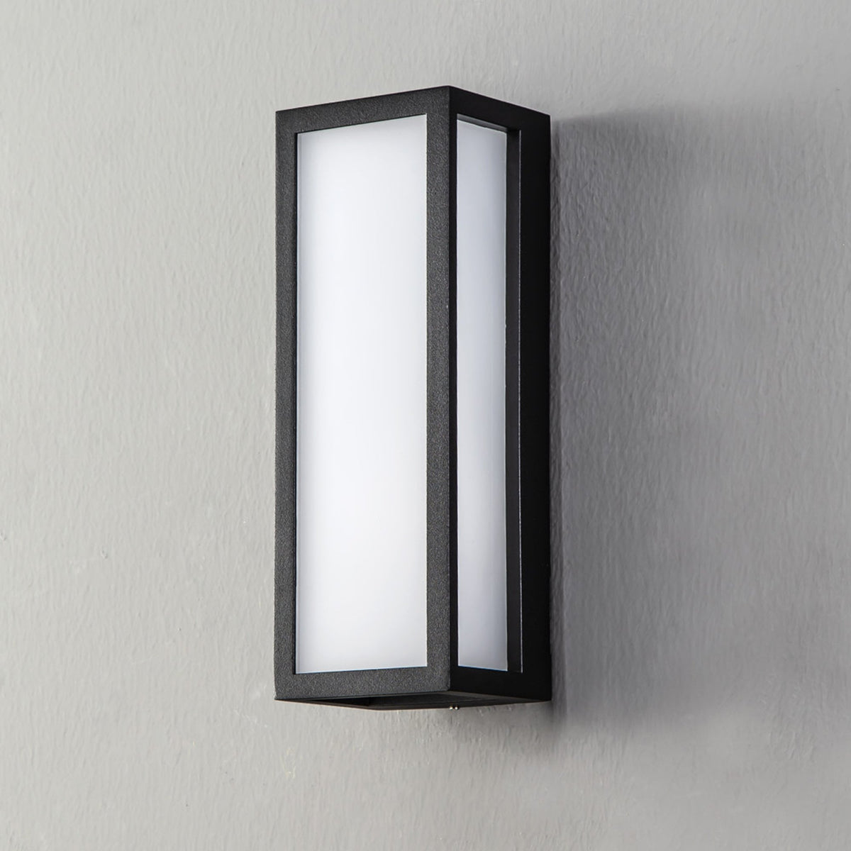 Honiton IP65 Exterior 10w LED Wall Light in Anthracite