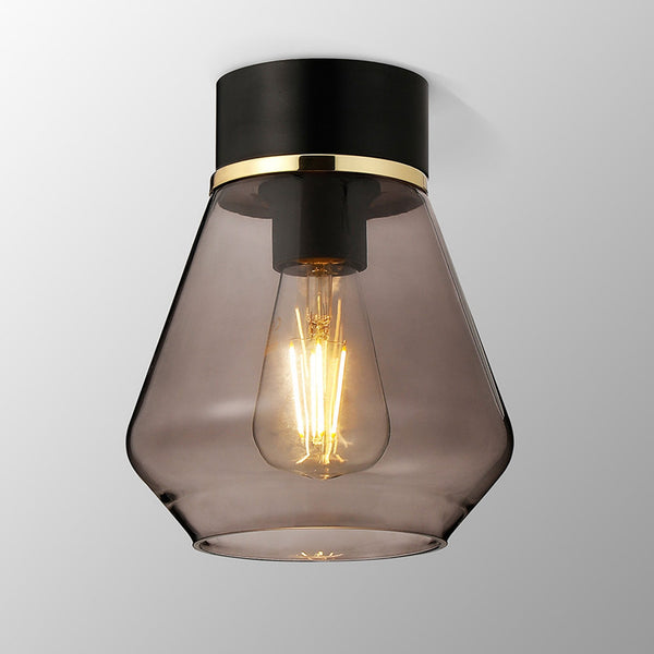 Sector Ceiling Light in Black & Kite Smoke Glass