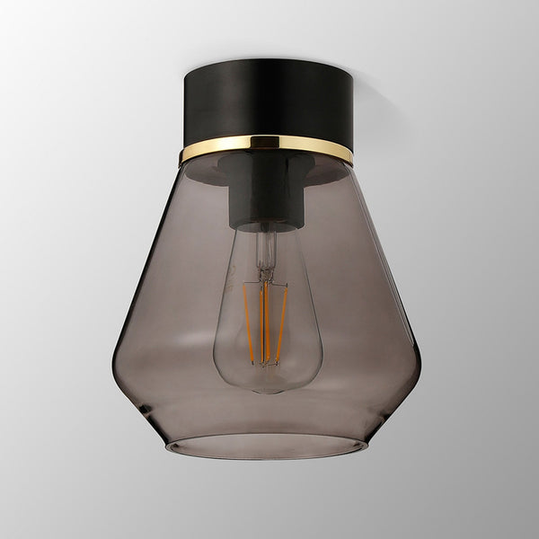 Sector Ceiling Light in Black & Kite Smoke Glass
