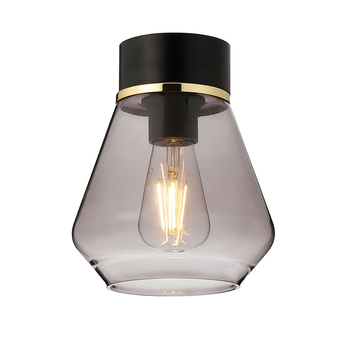 Sector Ceiling Light in Black & Kite Smoke Glass