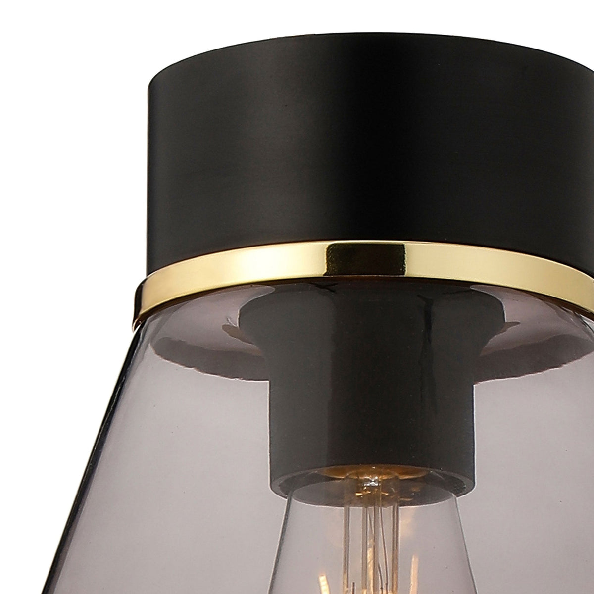 Sector Ceiling Light in Black & Kite Smoke Glass