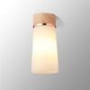 Sector Ceiling Light in Teak & Small Opal Cylindrical Cone Glass