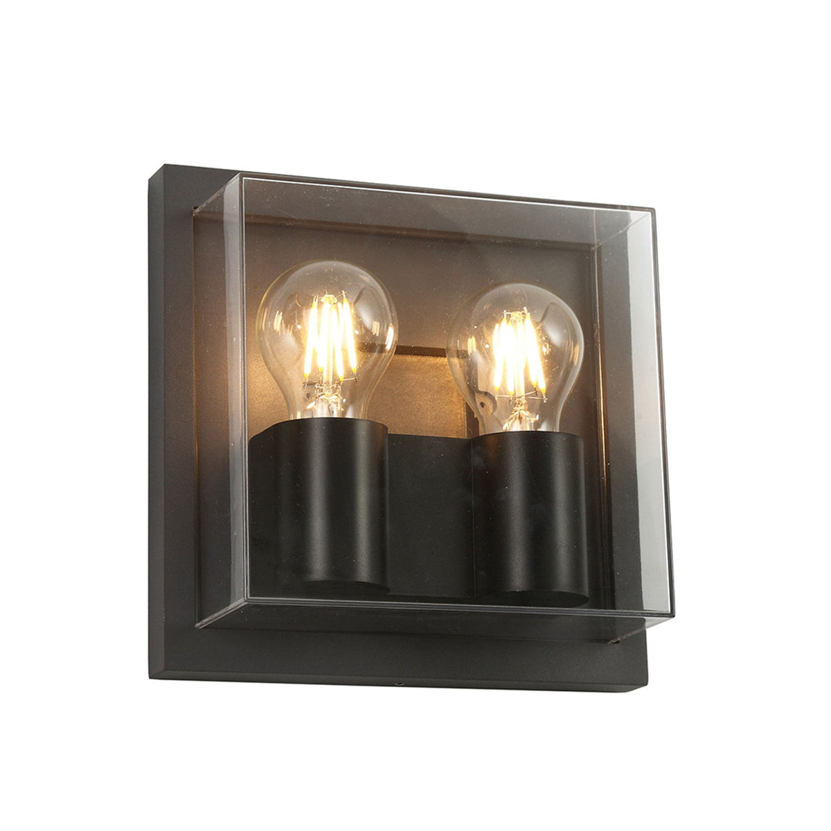Ashwater IP65 Exterior Wall Light in Anthracite