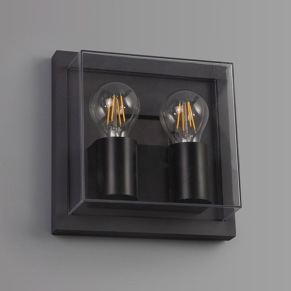 Ashwater IP65 Exterior Wall Light in Anthracite