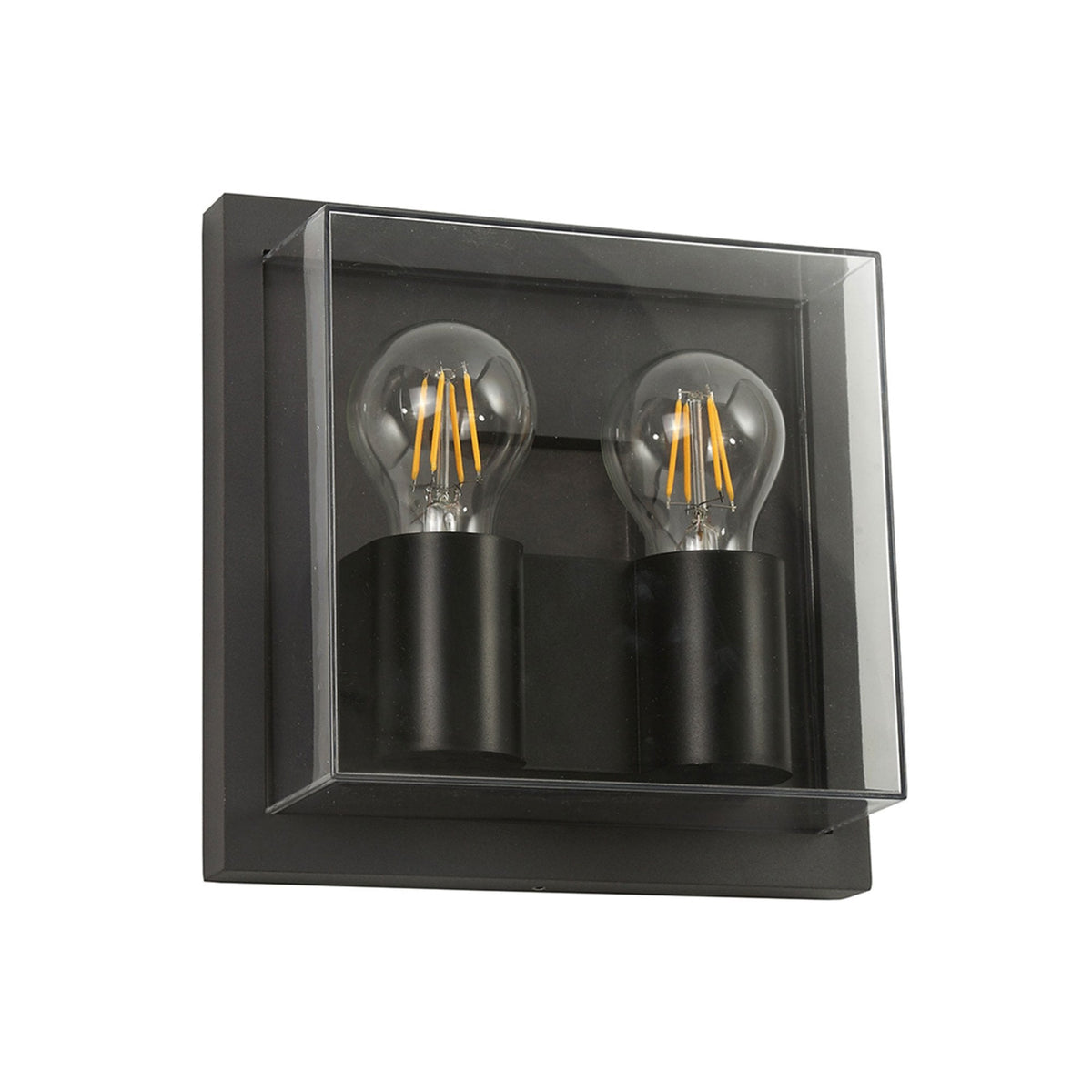 Ashwater IP65 Exterior Wall Light in Anthracite