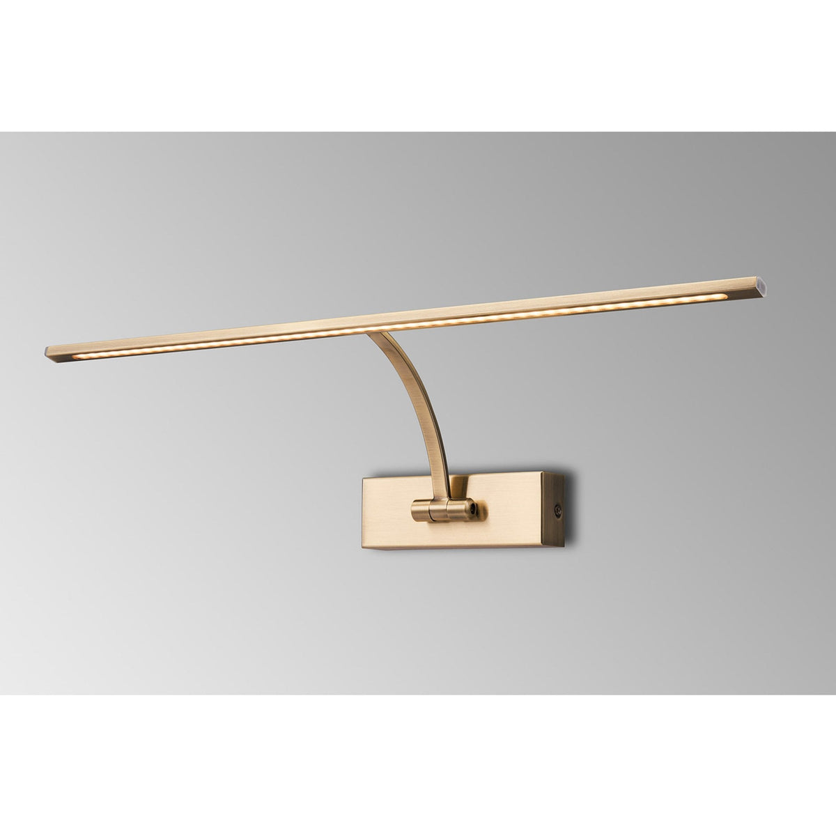 Powderham 560mm 10W LED Adjustable Picture Light in Antique Brass