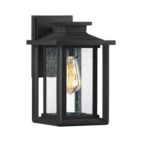Wakefield Coastal Small Wall Light in Earth Black with Clear Seeded Glass