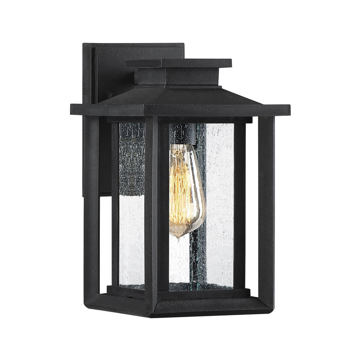 Wakefield Coastal Small Wall Light in Earth Black with Clear Seeded Glass