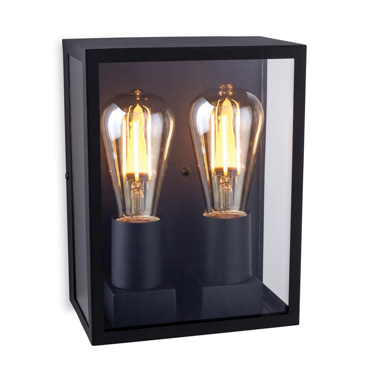 Houston Twin Lamp IP44 Wall Light in Black