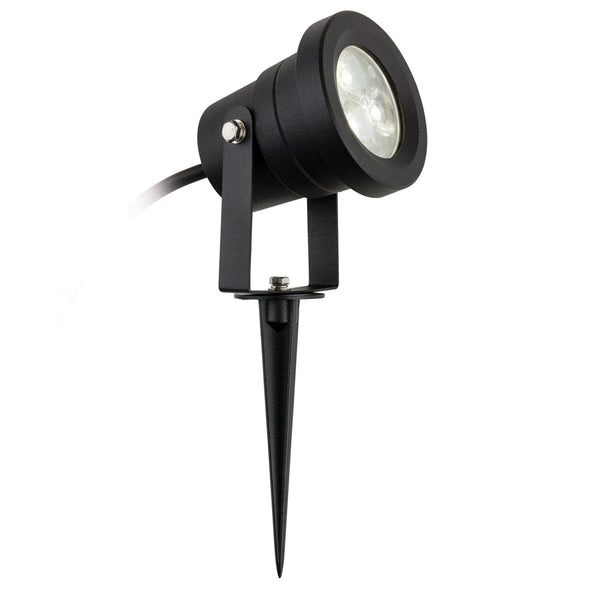 Hayes Exterior IP65 LED Wall or Spike Light in Black