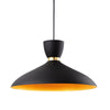 Ellis Pendant Light in Black with Matt Gold Inner