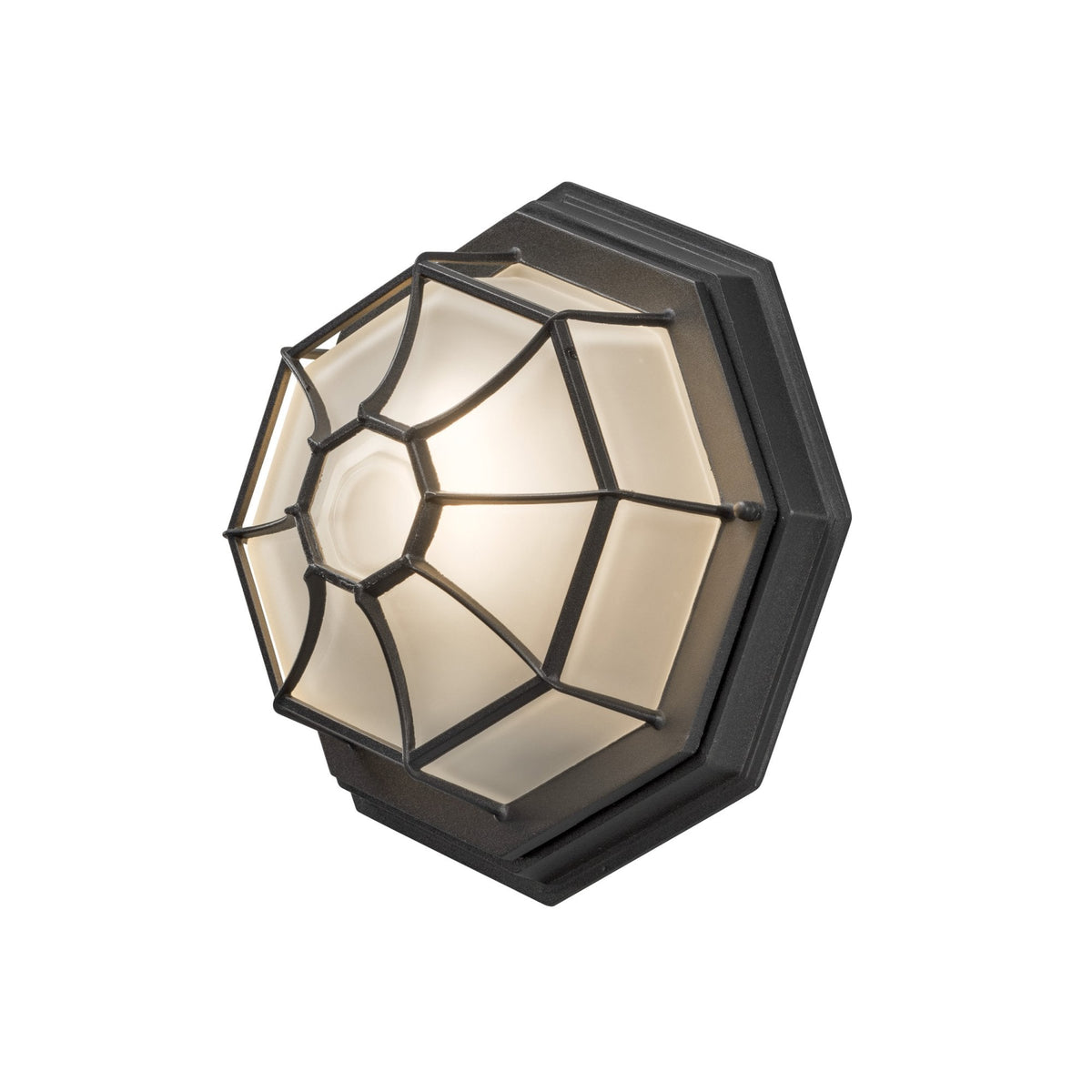 Web IP23 Outdoor E27 Wall or Ceiling Light in Black