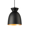 Maisie Compact Pendant Light in Black