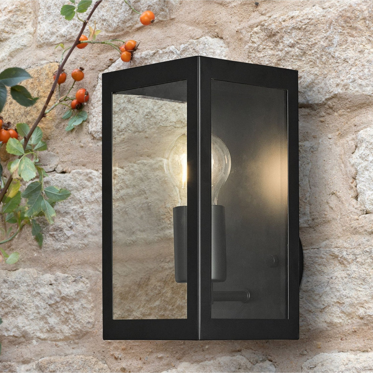 Era Exterior Wall Light in Black