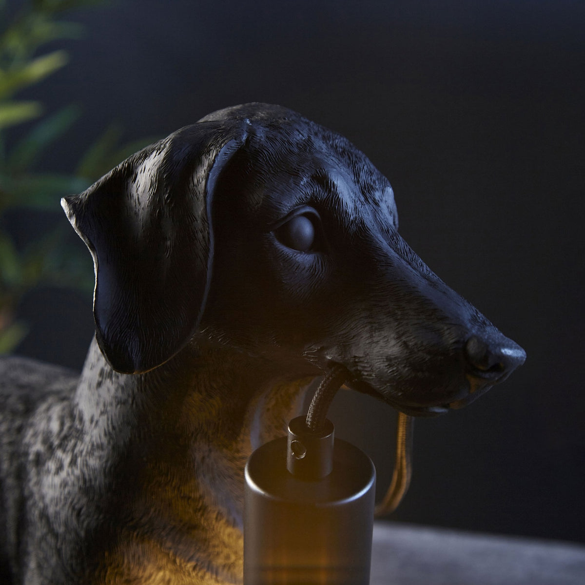Dachshund Table Lamp in Matt Black