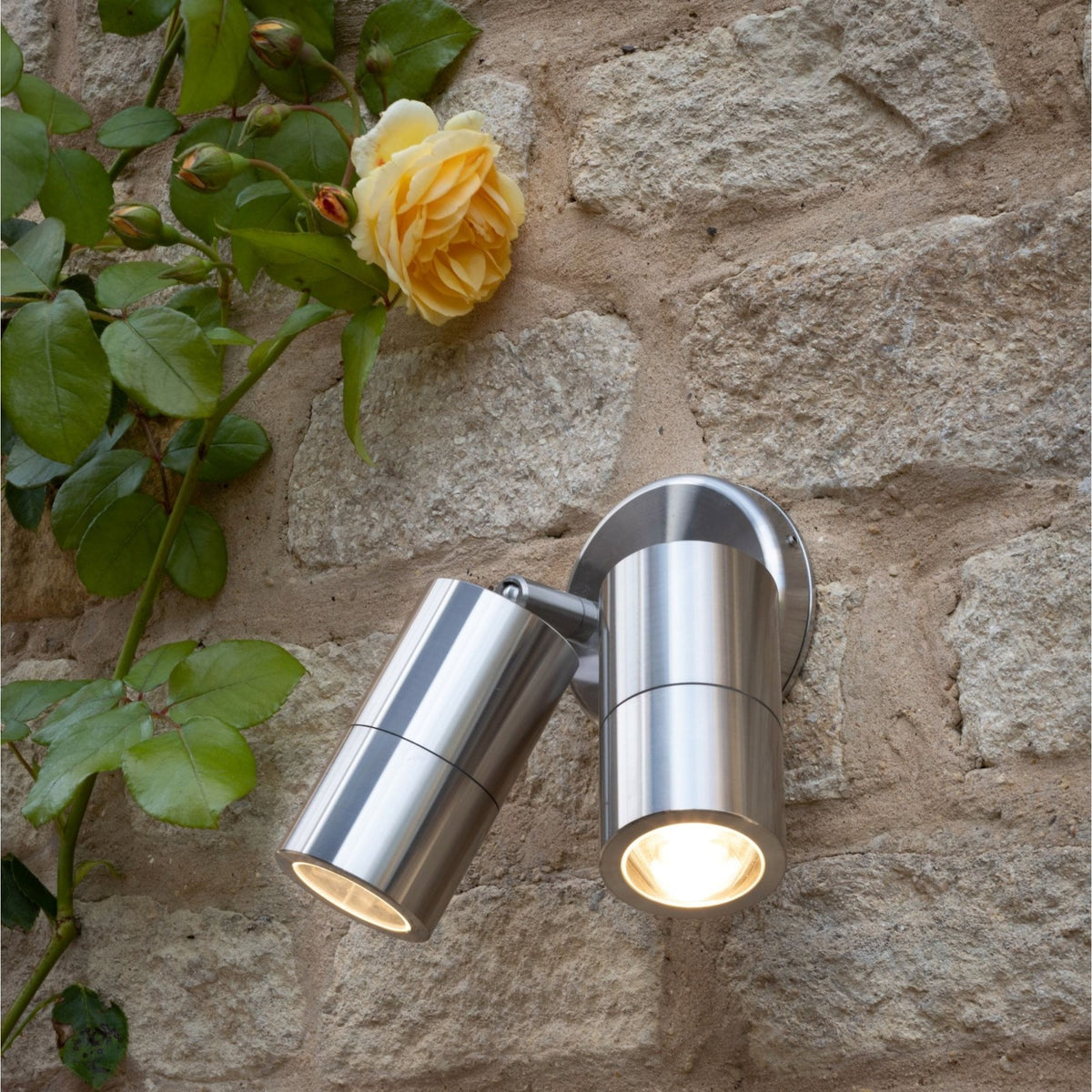 Ortega IP65 Exterior Twin Wall Spotlight In Brushed Aluminium