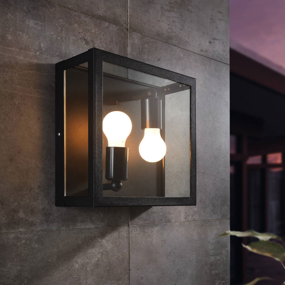 Alamonte 1 IP44 Outdoor Wall or Ceiling Light in Black