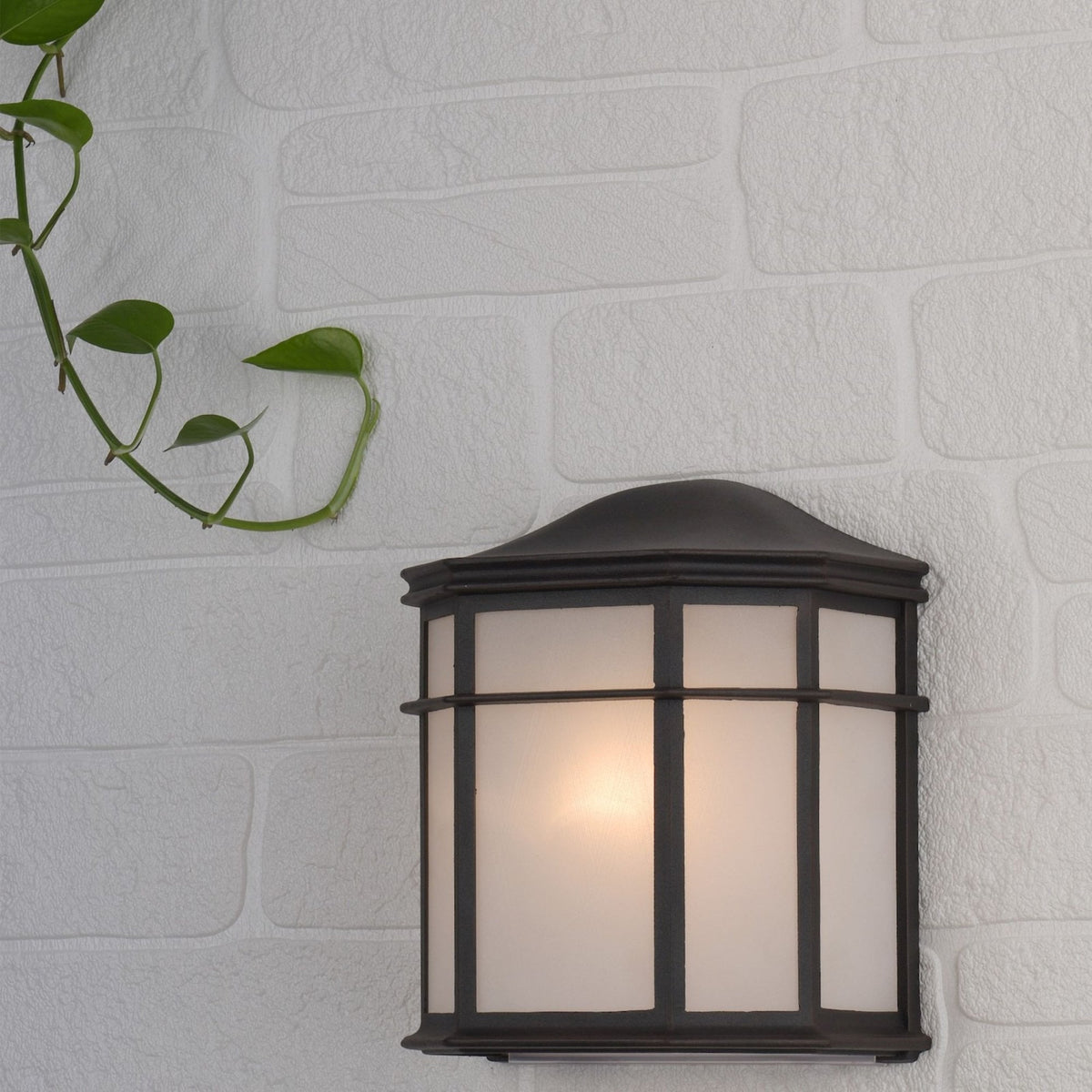 Dulbecco IP44 Outdoor Wall Light In Black With Acrylic Diffuser