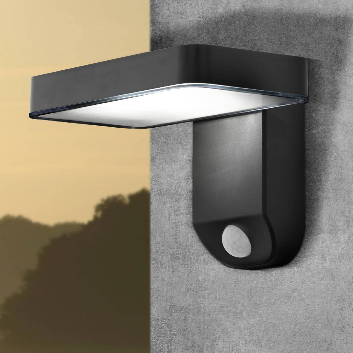 Pastion Solar PIR Motion Sensor Outdoor LED Light in Black