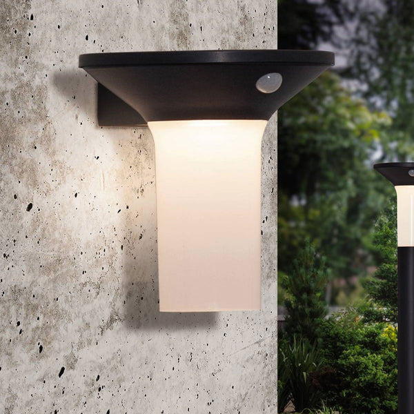 Corbezzola Solar PIR LED Dusk to Dawn Wall Light in Graphite