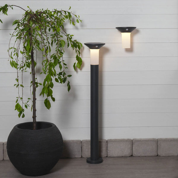 Corbezzola Solar PIR LED Dusk to Dawn Wall Light in Graphite