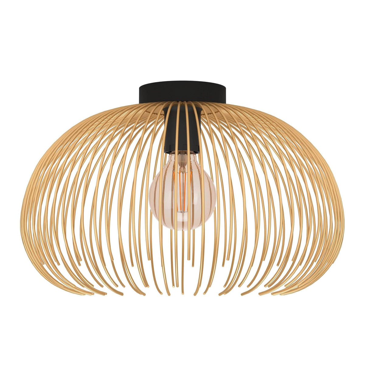 Venezuela Ceiling Light in Black and Gold