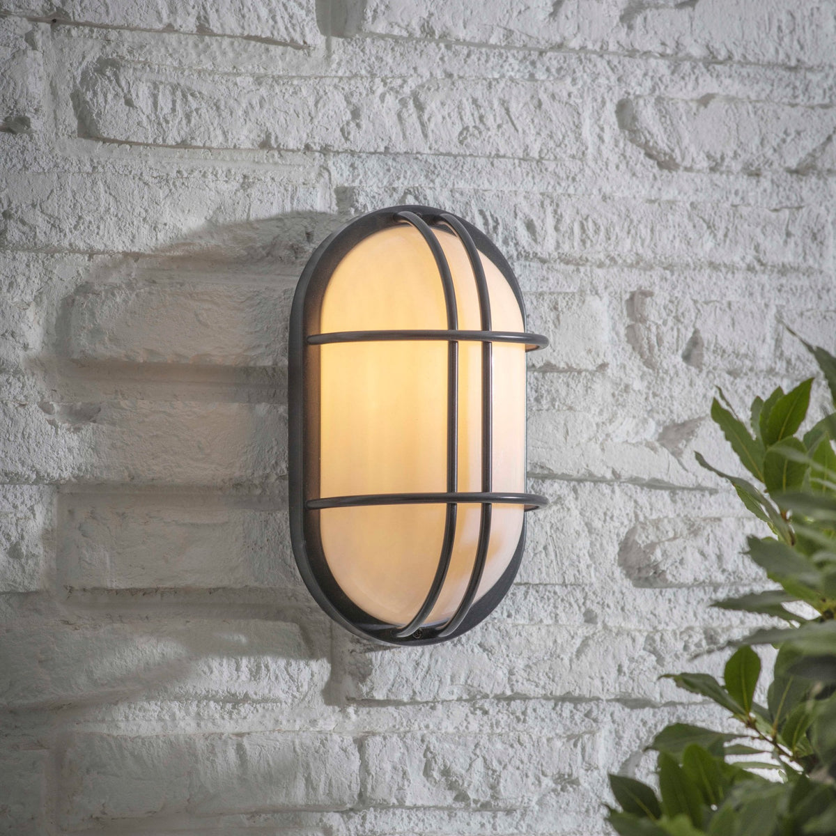 Bulkhead E27 Oval IP44 Exterior in Carbon