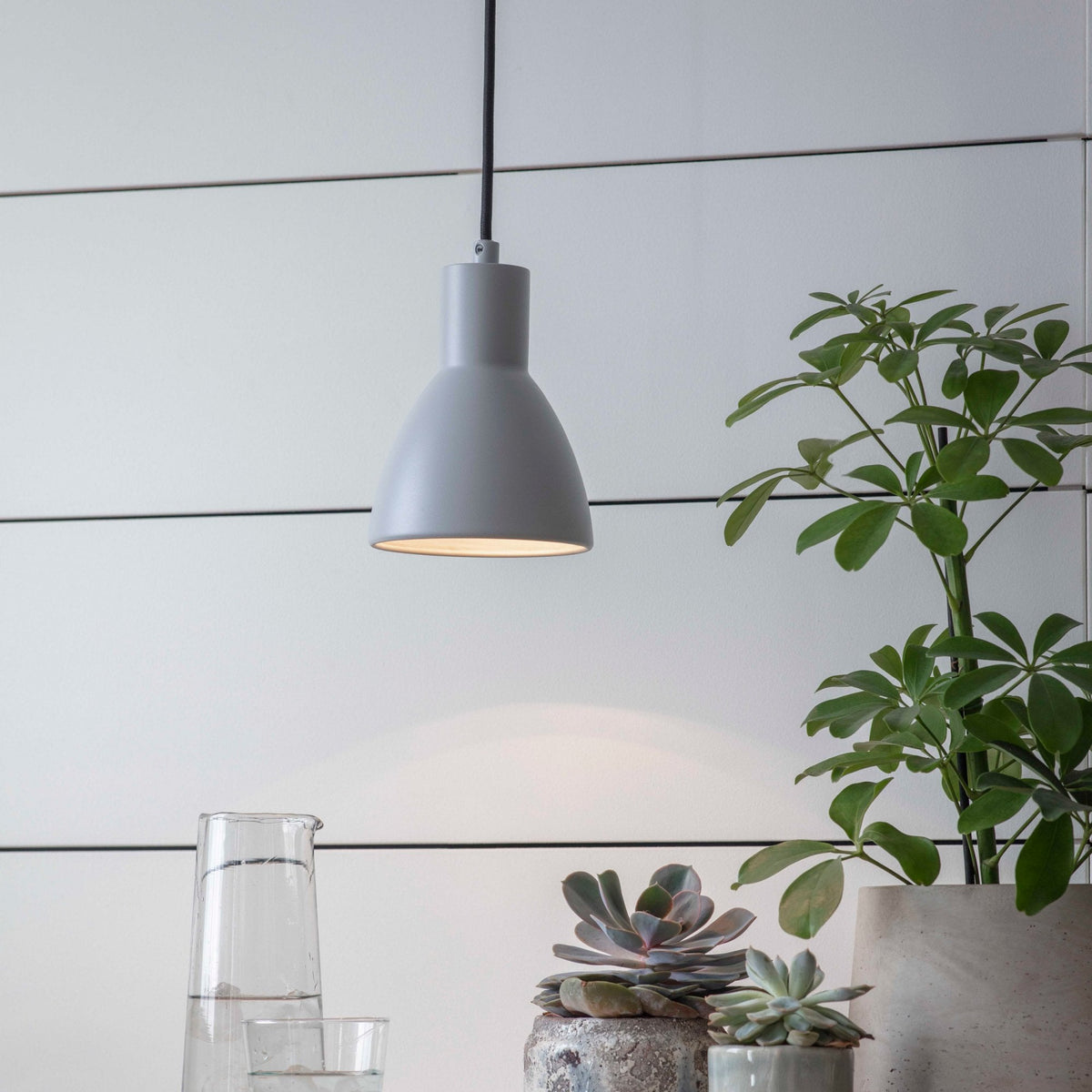 A gray pendant light illuminates a white wall, with various potted plants and a glass pitcher on a surface below.