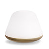 Bloom Large Dimmable Table Lamp In Brass