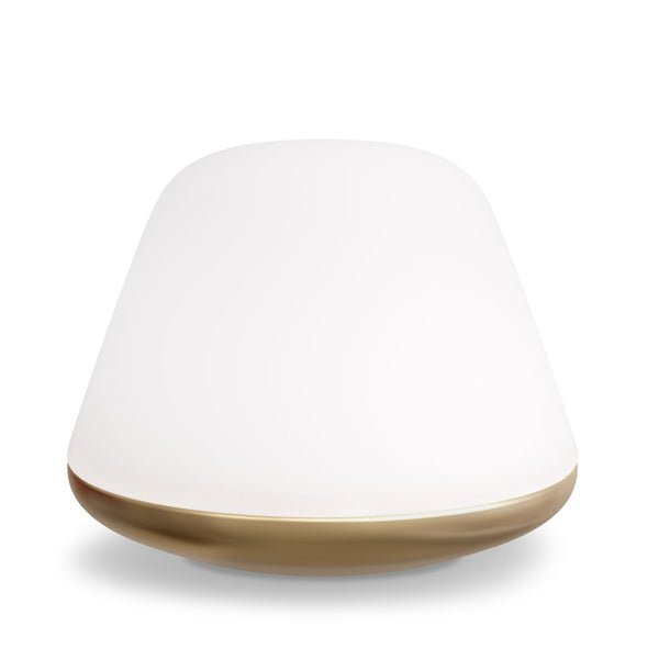 Bloom Large Dimmable Table Lamp In Brass