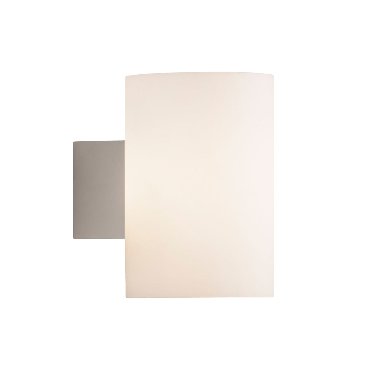 Evoke Large Wall Light In White With Frosted Glass Shade