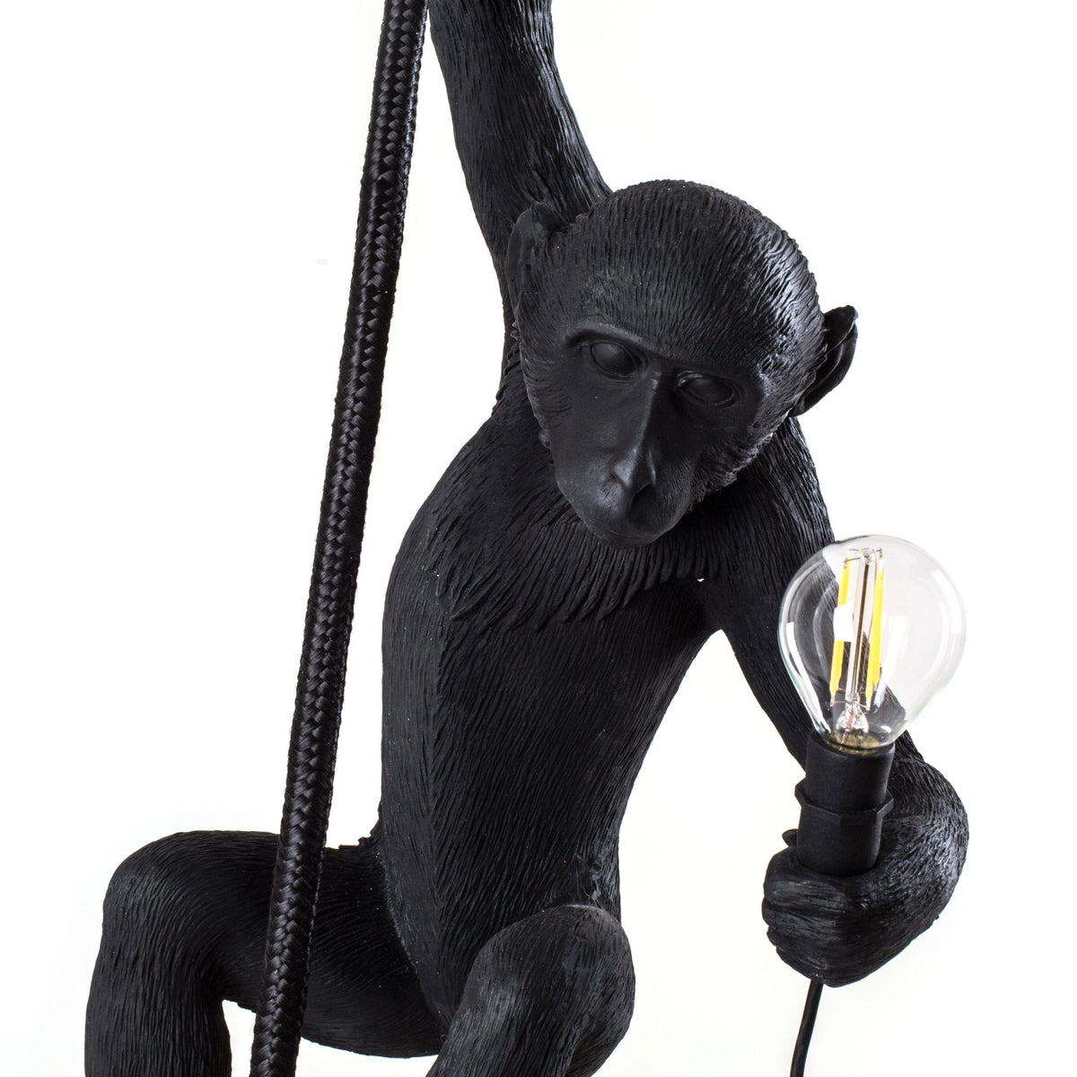 Monkey Outdoor Lamp IP44 with Rope Edition in Black