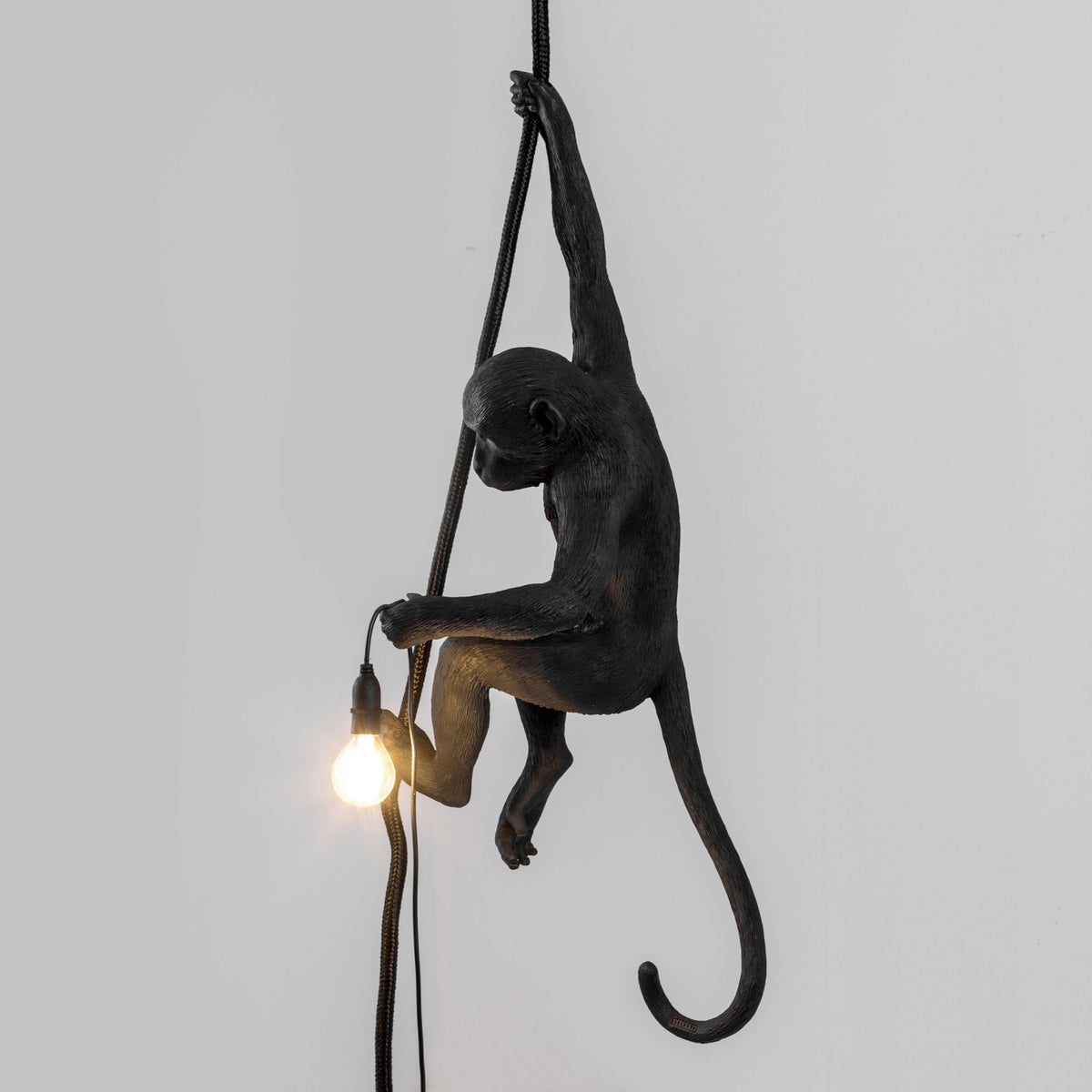Monkey Outdoor Lamp IP44 with Rope Edition in Black