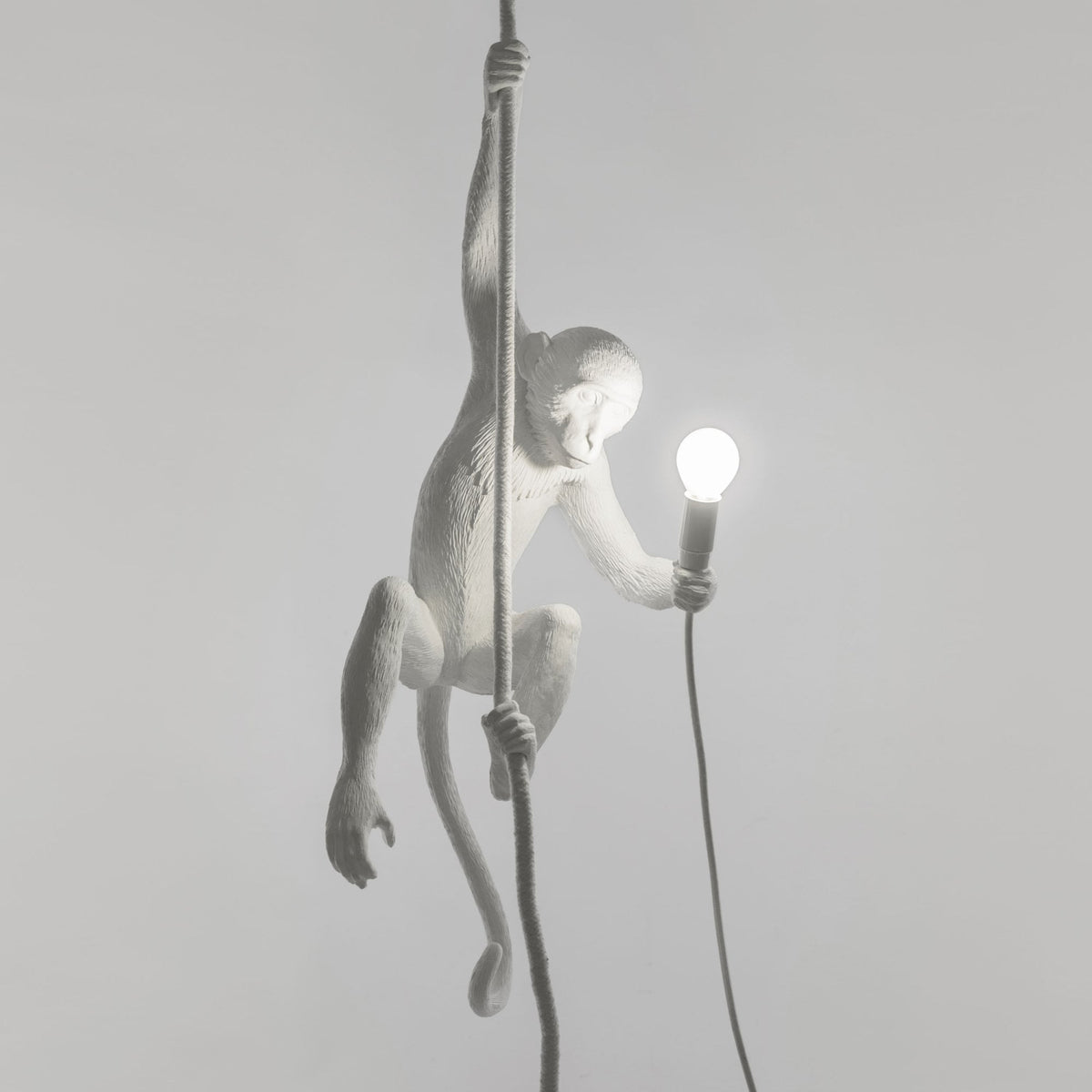 Monkey Indoor Ceiling Light with Rope Edition in White