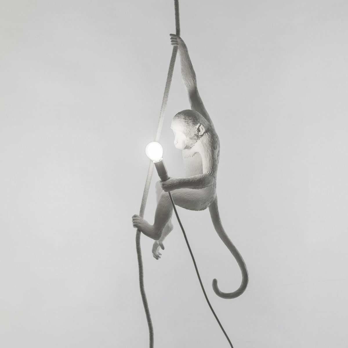 Monkey Indoor Ceiling Light with Rope Edition in White