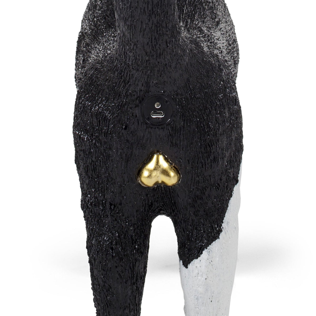 Jobby The Cat - Black & White Edition