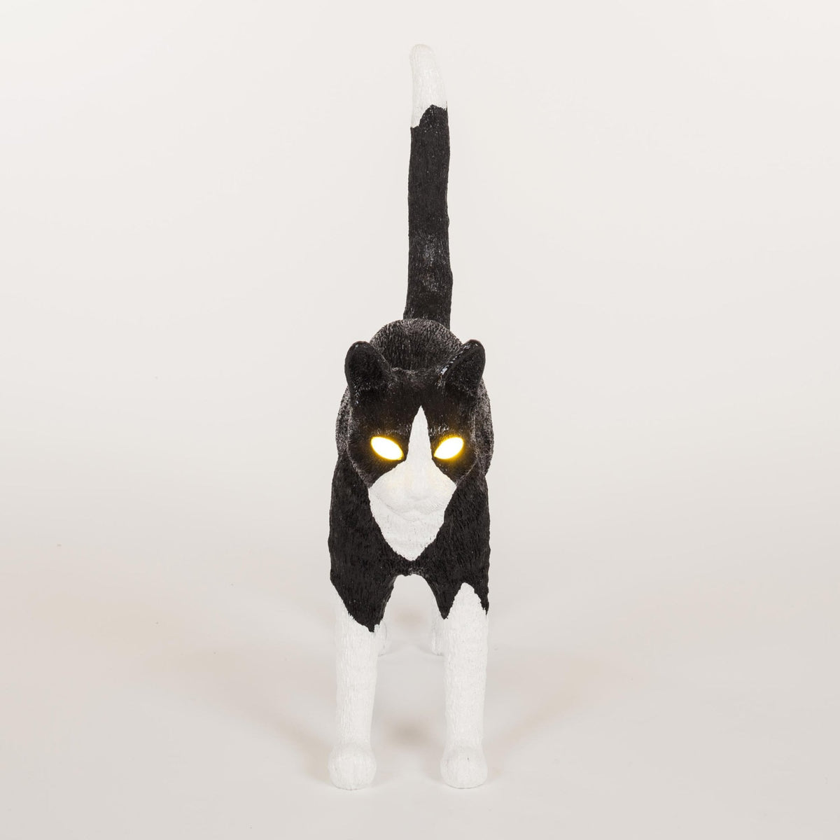 Jobby The Cat - Black & White Edition