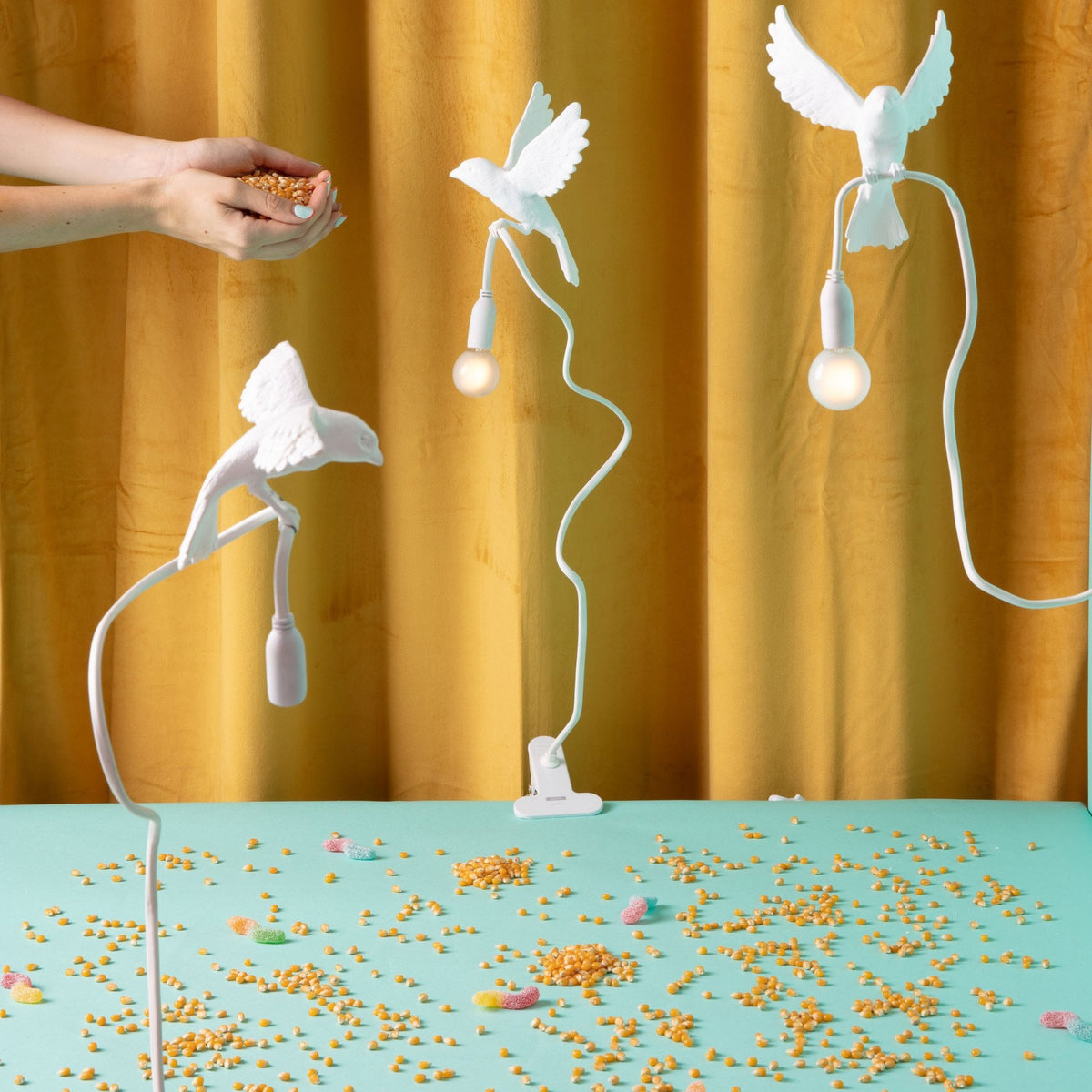 Three bird lamps on a blue surface with scattered food, a hand offering more from above.