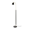 Deluxe Floor Lamp in Black & Brass