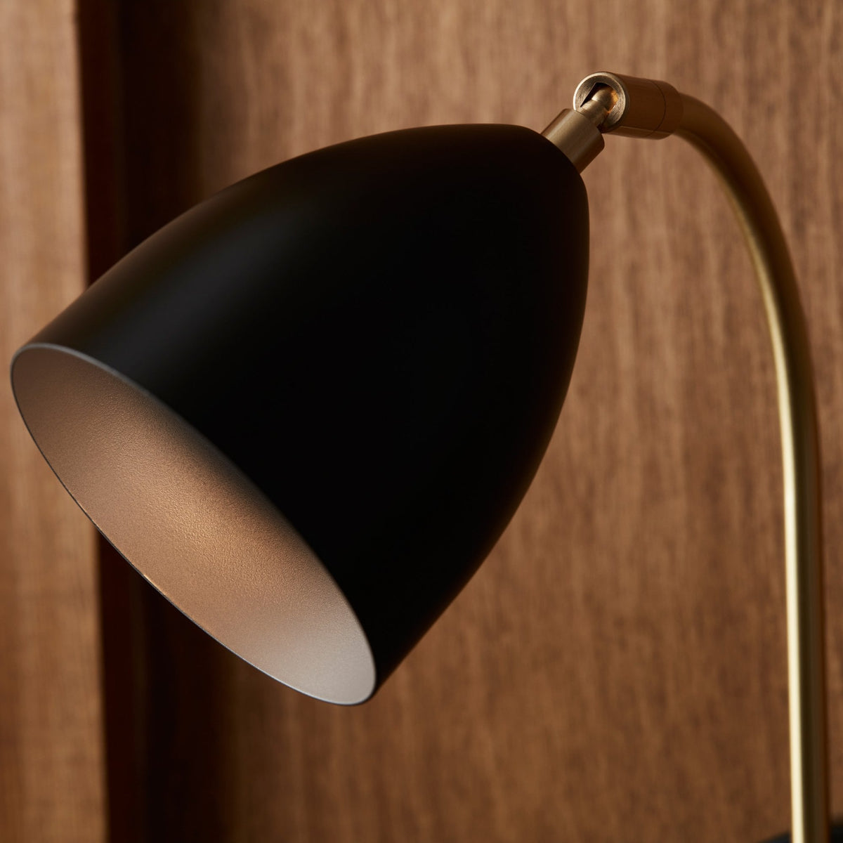 Deluxe Plugged Wall Lamp in Black & Brass
