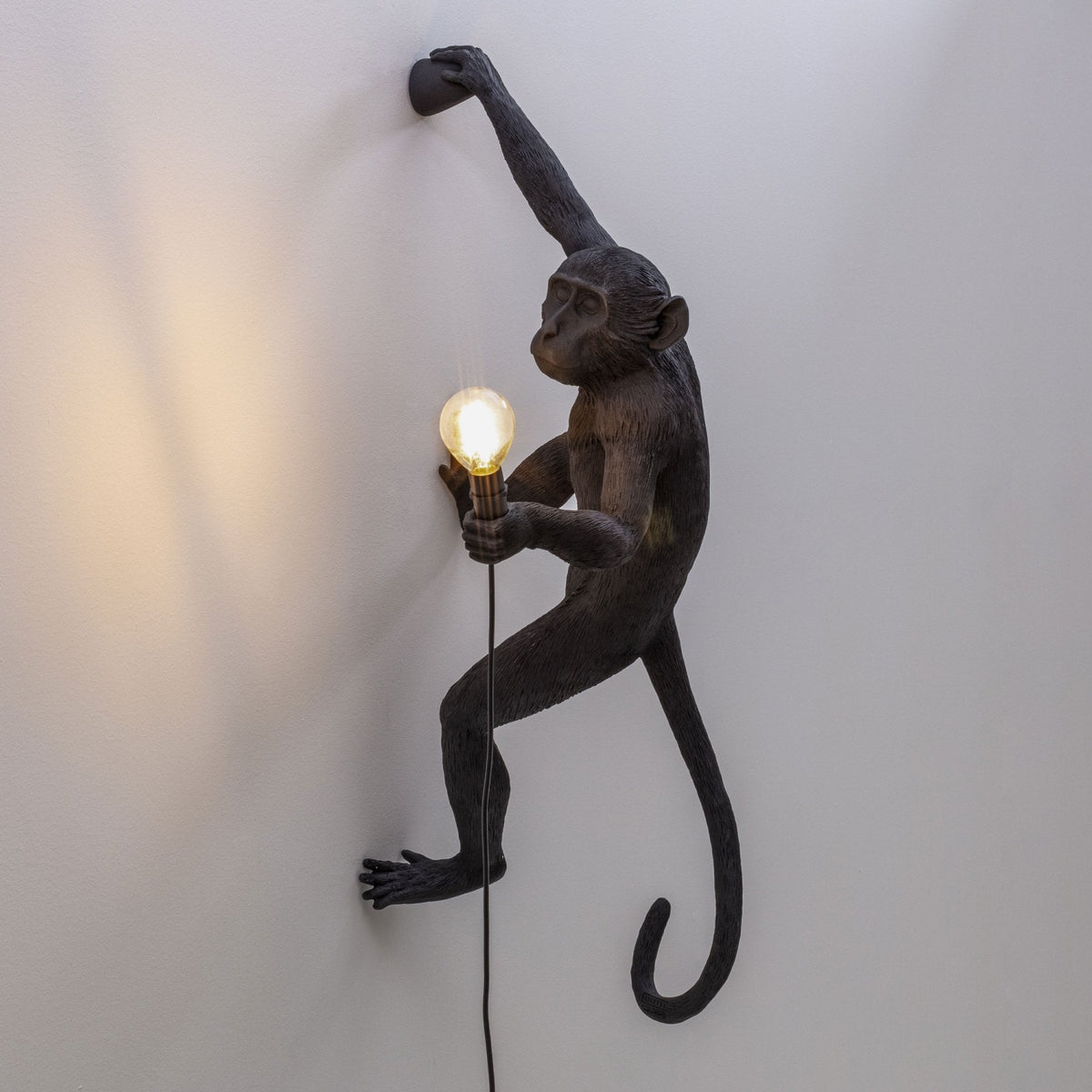 Monkey Outdoor Wall Lamp IP44 Hanging Right Edition in Black