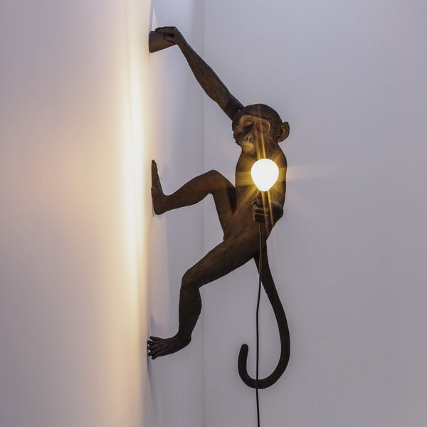 Monkey Outdoor Wall Lamp IP44 Hanging Right Edition in Black