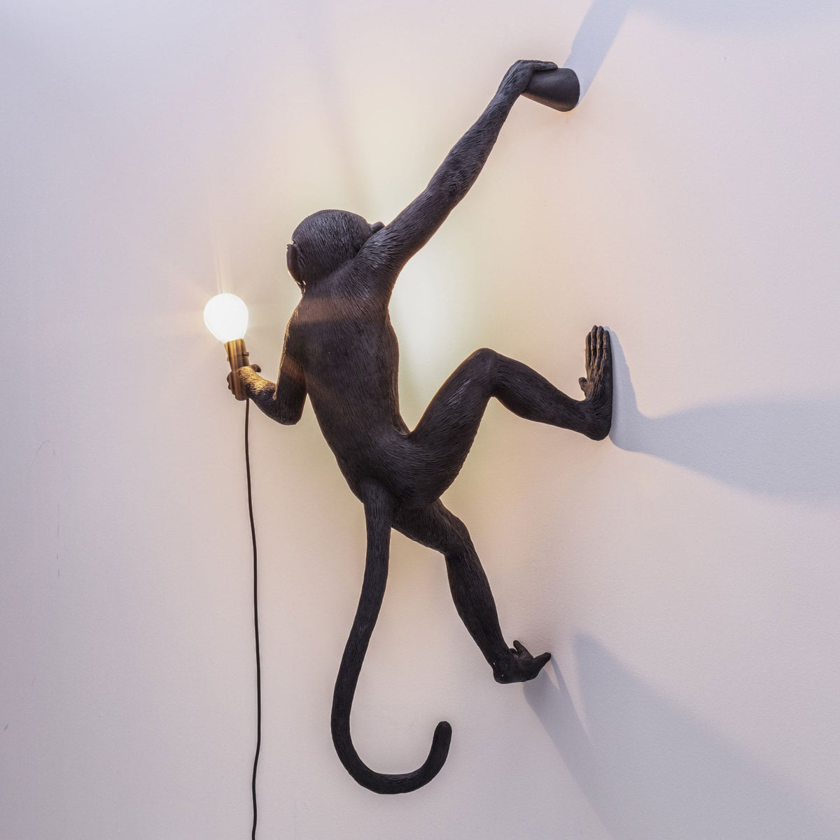 Monkey Outdoor Wall Lamp IP44 Hanging Right Edition in Black