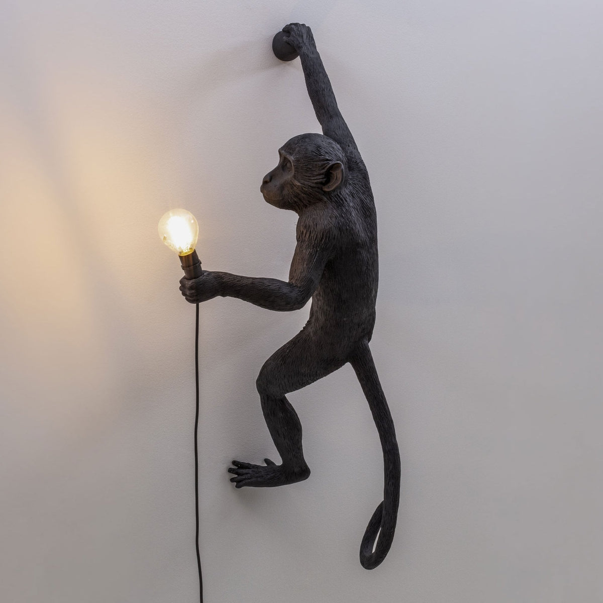Monkey Outdoor Wall Lamp IP44 Hanging Right Edition in Black