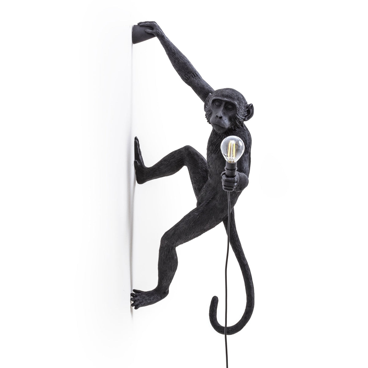 Monkey Outdoor Wall Lamp IP44 Hanging Right Edition in Black