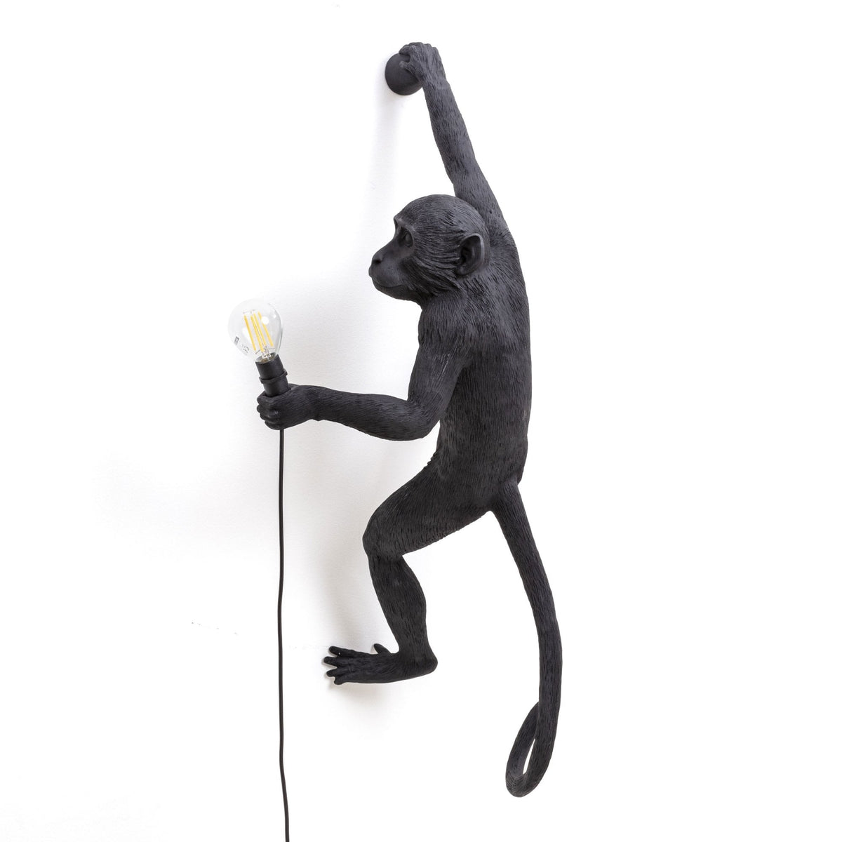 Monkey Outdoor Wall Lamp IP44 Hanging Right Edition in Black