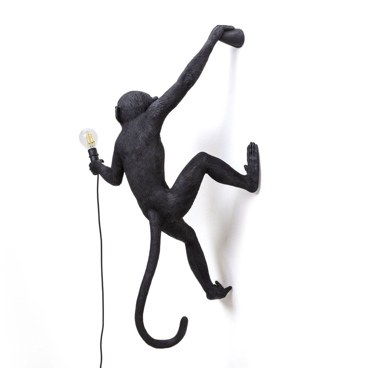 Monkey Outdoor Wall Lamp IP44 Hanging Right Edition in Black