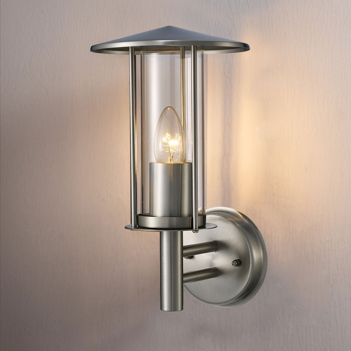 Dalton IP44 Exterior Wall Light in Stainless Steel and Clear Glass Finish