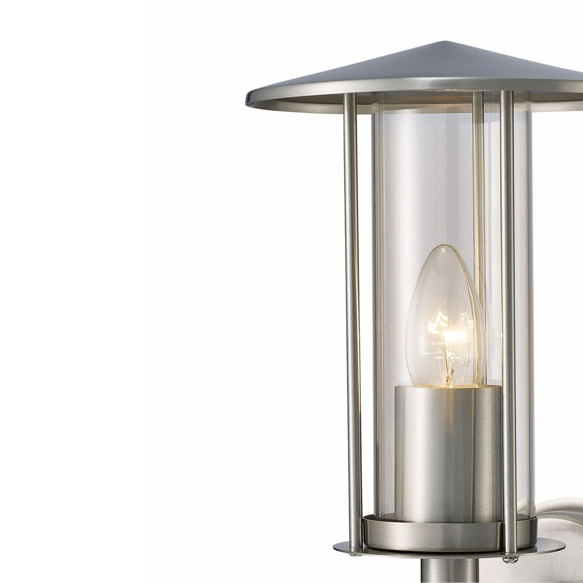 Dalton IP44 Exterior Wall Light in Stainless Steel and Clear Glass Finish