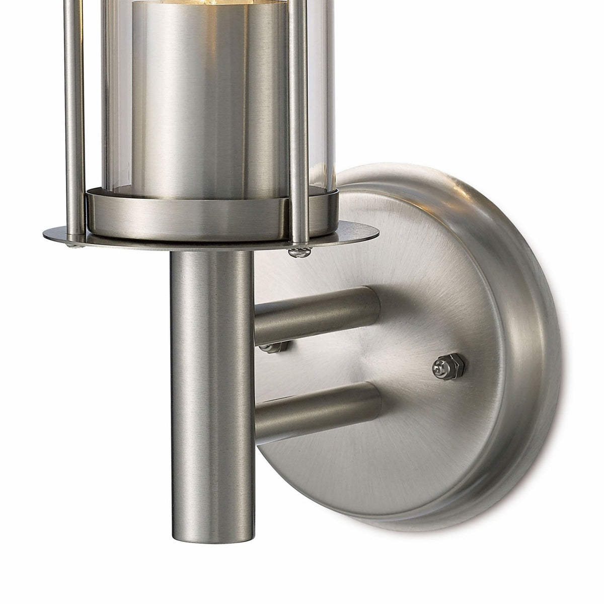 Dalton IP44 Exterior Wall Light in Stainless Steel and Clear Glass Finish